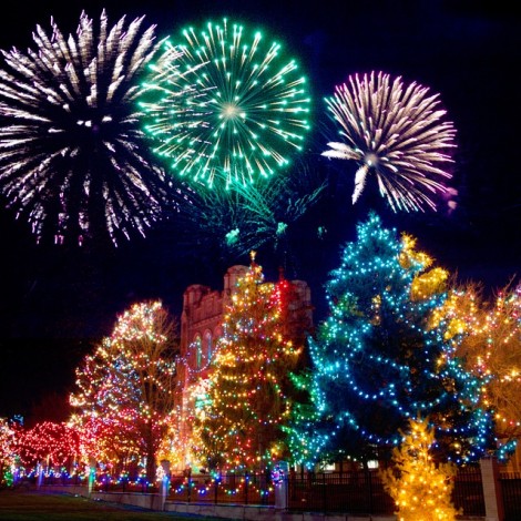 Christmas Lights on trees with fireworks in the back